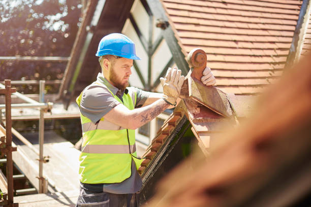 Best Roof Gutter Cleaning  in Landmk, AR